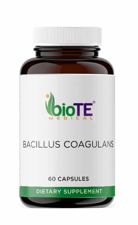 BACILLUS COAGULANS